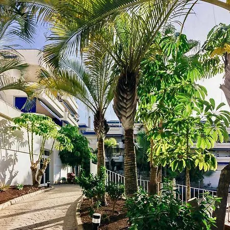 Lejlighed Large Direct Ocean Front 2bd Los Cristianos (Tenerife)